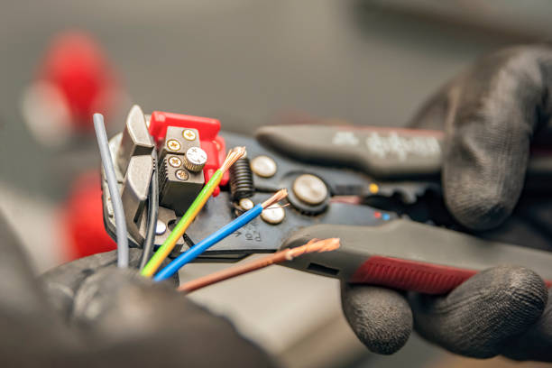 Best Electrician for Home Renovation  in Wallburg, NC